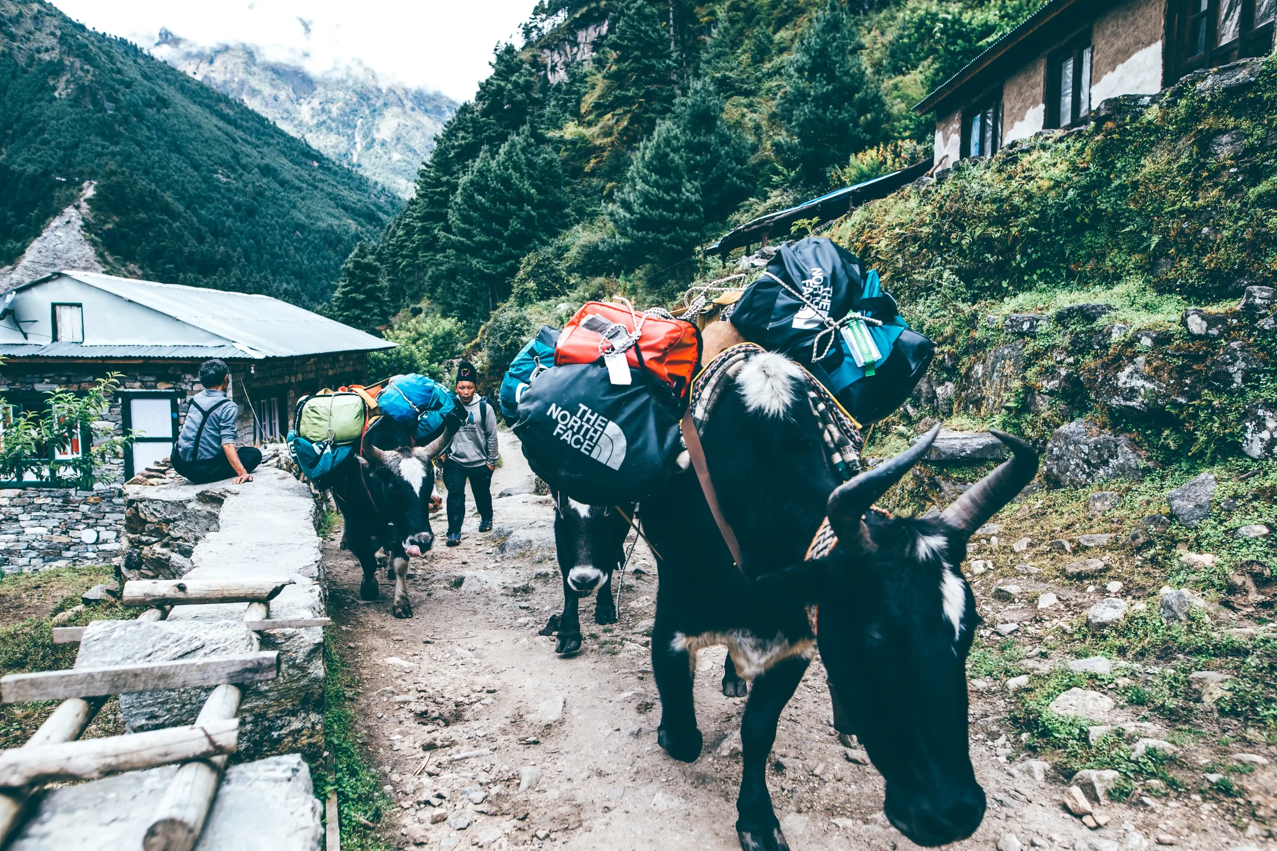 Altitude Sickness/Acute Mountain Sickness (AMS)